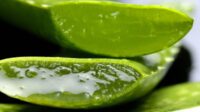 5 Resep Lidah Buaya Segar: Rahasia Minuman Sehat Anti Dahaga