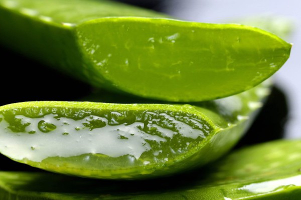 5 Resep Lidah Buaya Segar: Rahasia Minuman Sehat Anti Dahaga