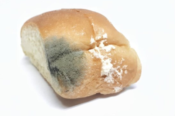 Roti Cepat Berjamur? 5 Penyebab Utamanya & Solusinya