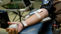 Donor Darah Selamatkan Nyawa: Sejarah, Manfaat & Cara Donasi 14 Juni