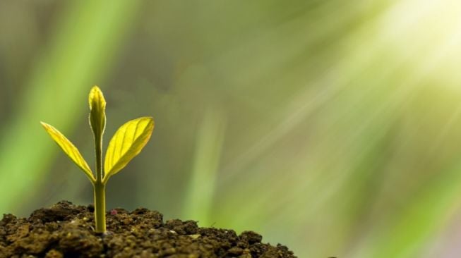 Jawa Tengah: 5 Strategi Menuju Sentra Industri Hijau Terdepan