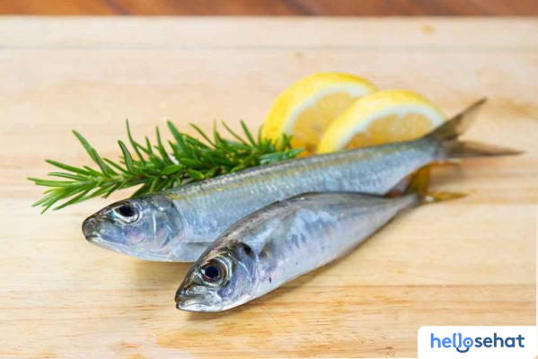 MPASI Ikan Sarden: 4 Resep Nutrisi Bayi Terbaik
