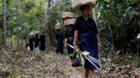 Rahasia Suku Kajang: Hukum Adat Selamatkan Hutan Sulawesi Selatan