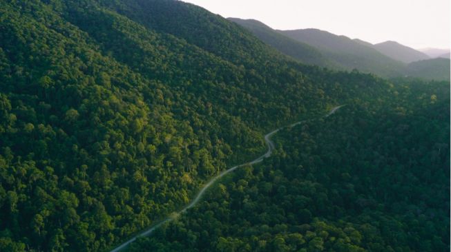 Revolusi_Pembangunan_Berkelanjutan_Indeks_Hubungan_Alam_yang_Baru Revolusi Pembangunan Berkelanjutan: Indeks Hubungan Alam yang Baru