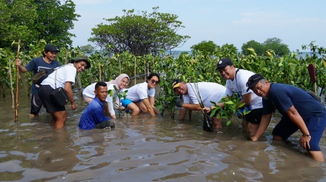 Sharp Lestarikan Alam: Ribuan Mangrove & Terumbu Karang Terlindungi