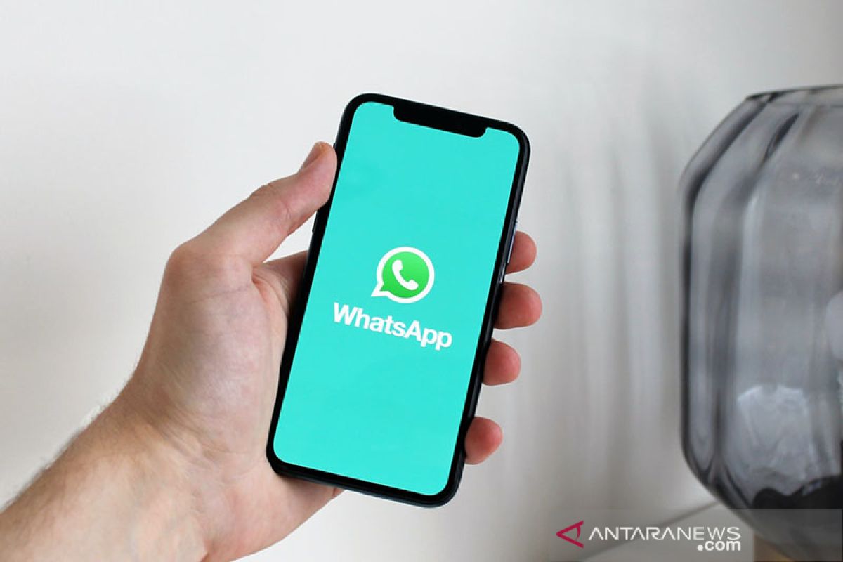 WhatsApp: Kontrol Kualitas Unduh Foto & Video, Fitur Baru!