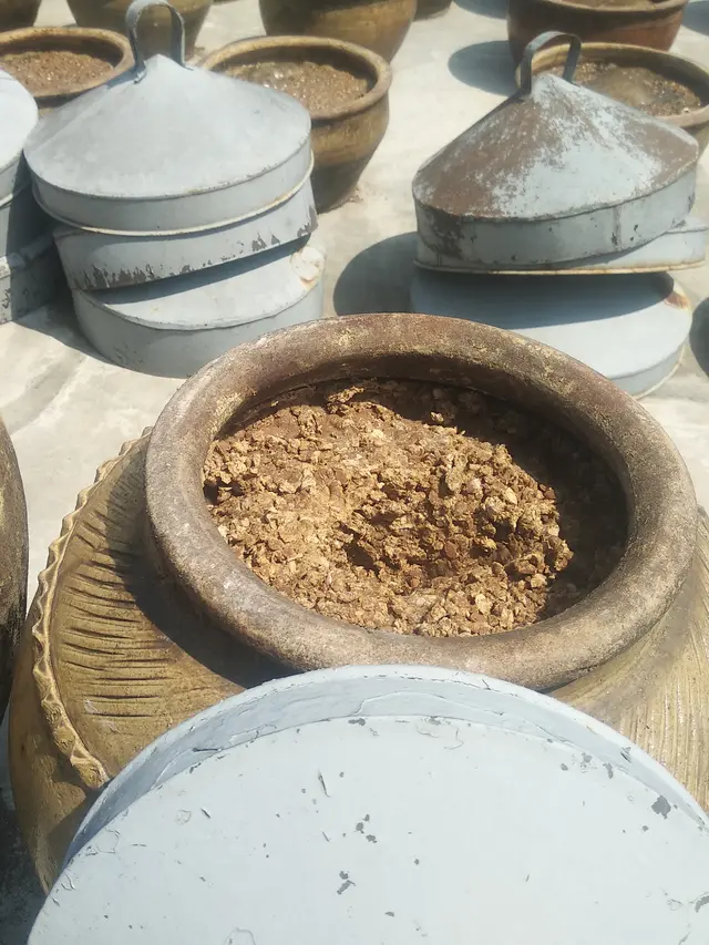 Rahasia Tauco: Sejarah & Kegunaan di Kuliner Indonesia